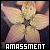 Amassment Directory